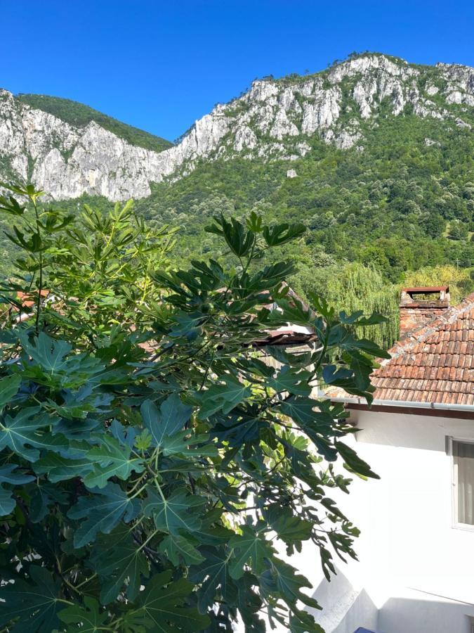 Hotel Gasthaus Vld Băile Herculane Exteriér fotografie